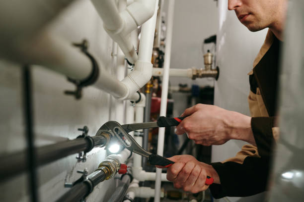 Best Commercial Plumbing Services  in Webster City, IA