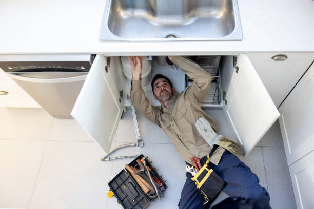 Best Clogged Drain Plumber  in Webster City, IA
