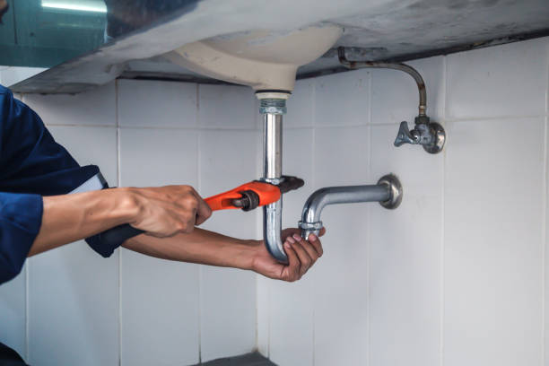 Best Toilet Repair Services  in Webster City, IA