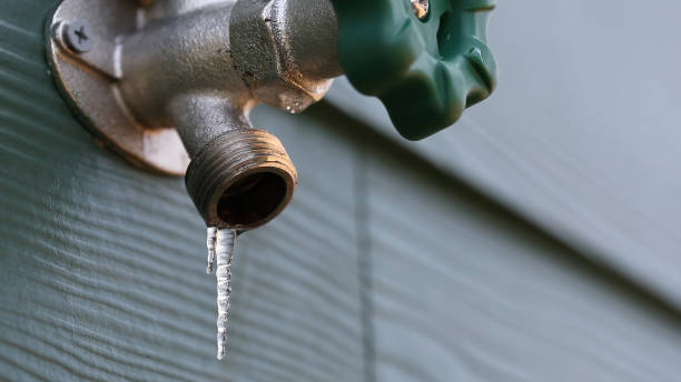 Best Plumbing Inspection Services  in Webster City, IA