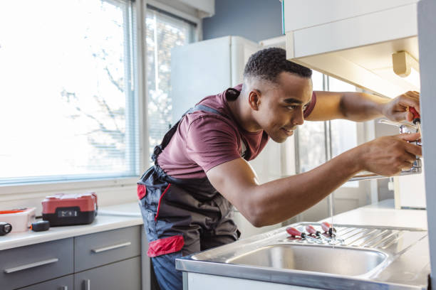 Best Affordable Plumber Near Me  in Webster City, IA
